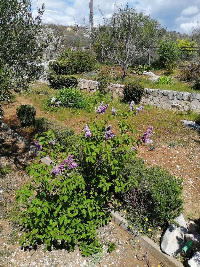 Apartman Luis Silence Šestanovac Εξωτερικό φωτογραφία
